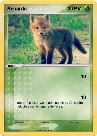 Pokemon Renardo