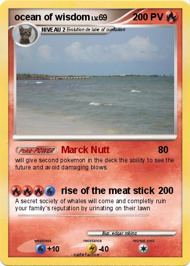 Pokemon ocean of wisdom