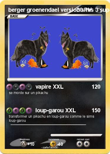 Pokemon berger groenendael version sims 3 superpouvoir