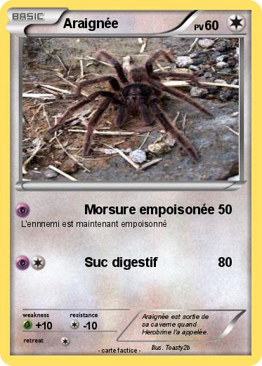 Pokemon Araignée