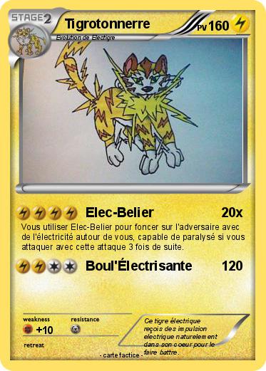 Pokemon Tigrotonnerre