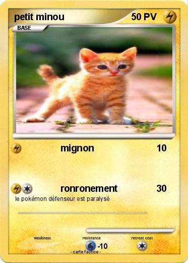 Pokemon petit minou