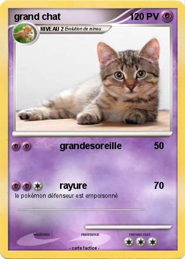 Pokemon grand chat
