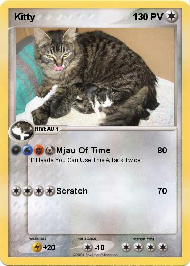 Pokemon Kitty