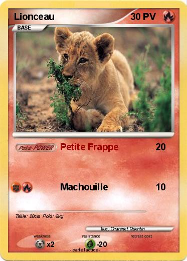Pokemon Lionceau