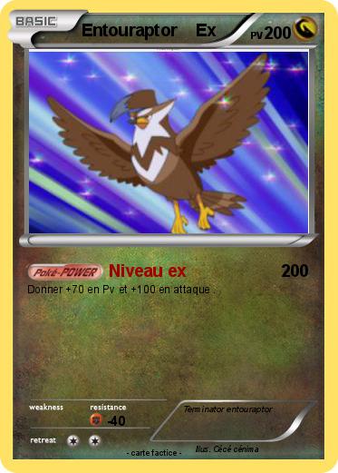 Pokemon Entouraptor    Ex