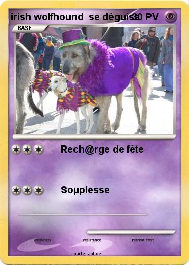 Pokemon irish wolfhound  se déguise