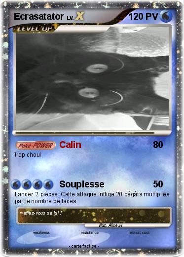 Pokemon Ecrasatator