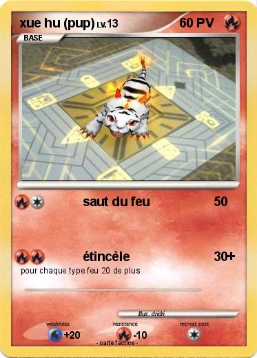 Pokemon xue hu (pup)