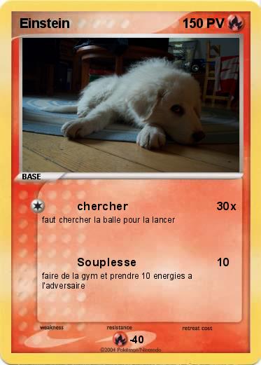 Pokemon Einstein