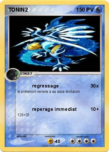 Pokemon TONIN2