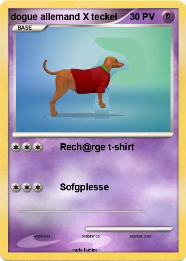 Pokemon dogue allemand X teckel