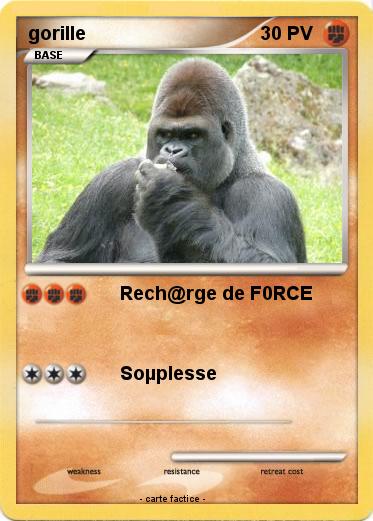 Pokemon gorille