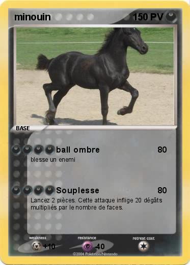 Pokemon minouin