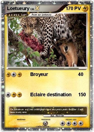 Pokemon Loetueury