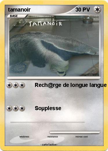 Pokemon tamanoir