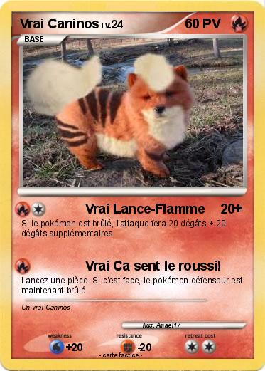 Pokemon Vrai Caninos