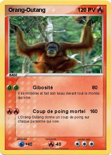 Pokemon Orang-Outang