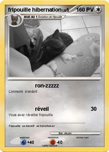Pokemon fripouille hibernation