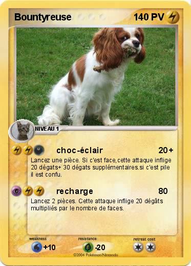 Pokemon Bountyreuse