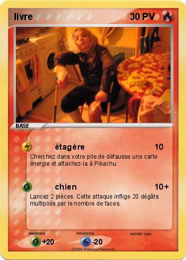 Pokemon livre