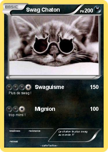 Pokemon Swag Chaton