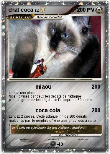 Pokemon chat coca