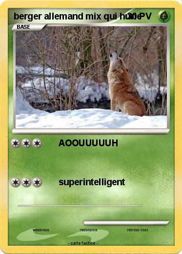 Pokemon berger allemand mix qui hurle