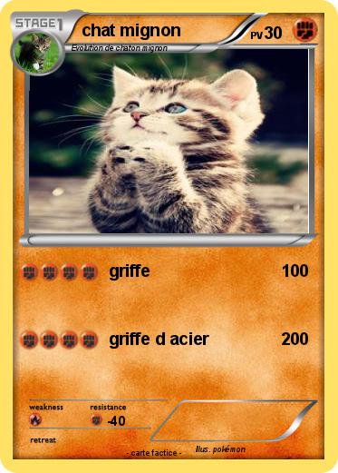 Pokemon chat mignon