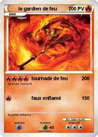 Pokemon le gardien de feu