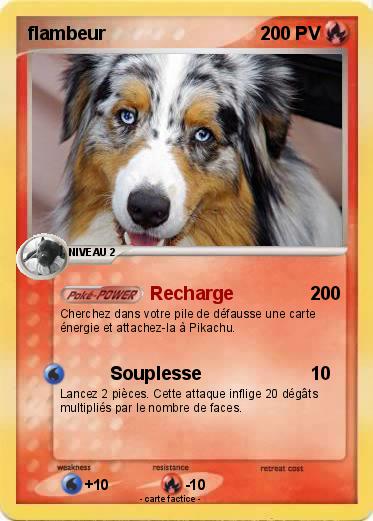 Pokemon flambeur