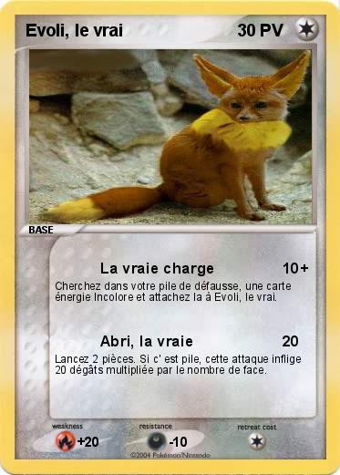 Pokemon Evoli, le vrai