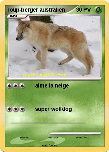 Pokemon loup-berger australien