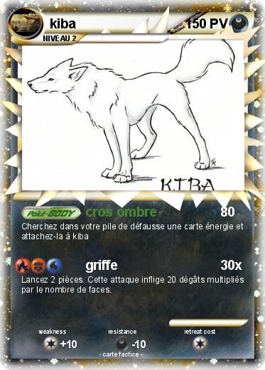 Pokemon kiba
