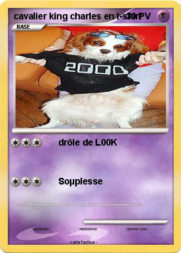 Pokemon cavalier king charles en t-shirt