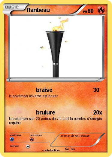 Pokemon flanbeau