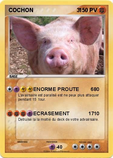 Pokemon COCHON                            3