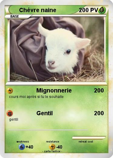 Pokemon Chèvre naine