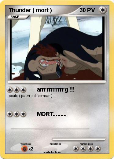 Pokemon Thunder ( mort )