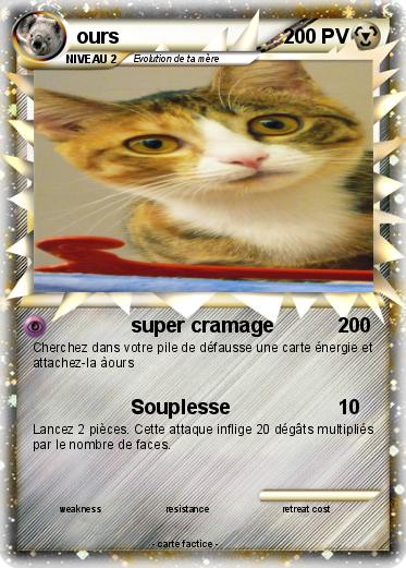Pokemon ours