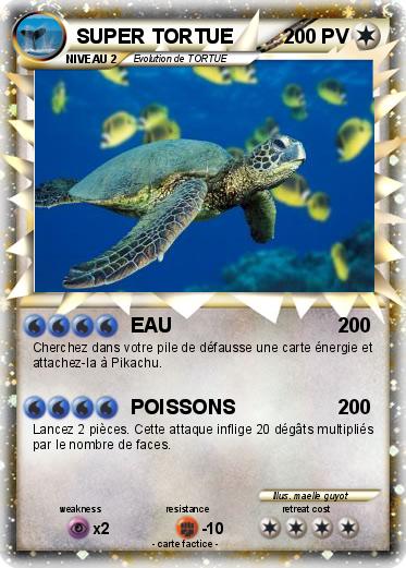 Pokemon SUPER TORTUE