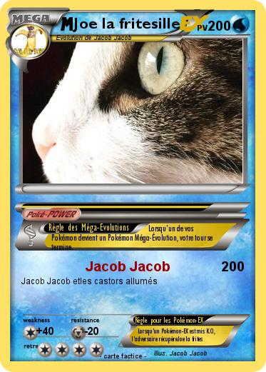 Pokemon Joe la fritesille