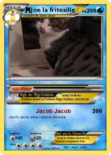 Pokemon Joe la fritesille