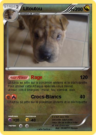 Pokemon Litoutou
