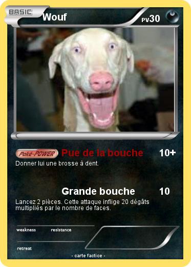 Pokemon Wouf