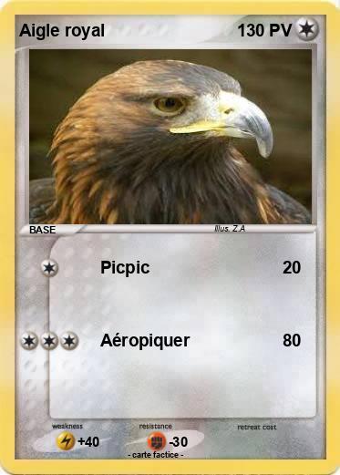 Pokemon Aigle royal