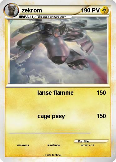 Pokemon zekrom