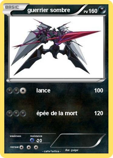Pokemon guerrier sombre