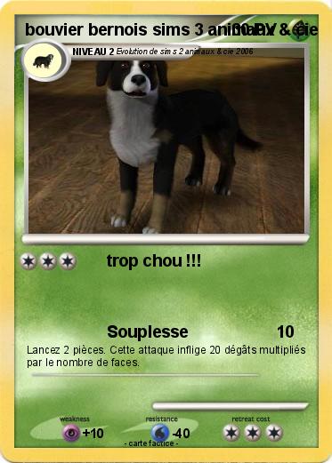 Pokemon bouvier bernois sims 3 animaux & cie