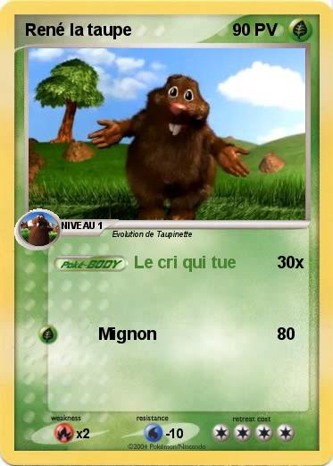 Pokemon René la taupe